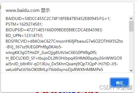 javascript:alert(document.cookie);
